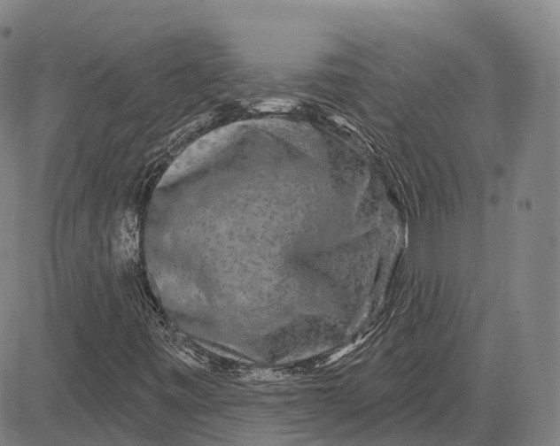 X0000081421443200702021615