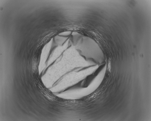 X0000081421444200702021615