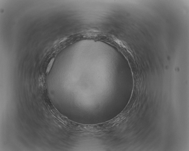 X0000081421445200702021615