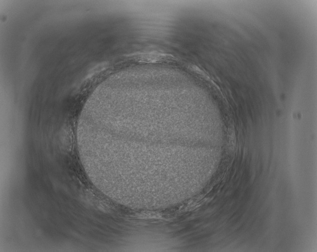 X0000081421446200702021615