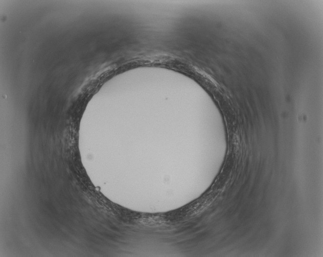 X0000081421447200702021615