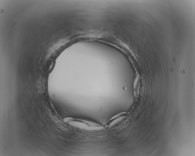 X0000081421448200702021615