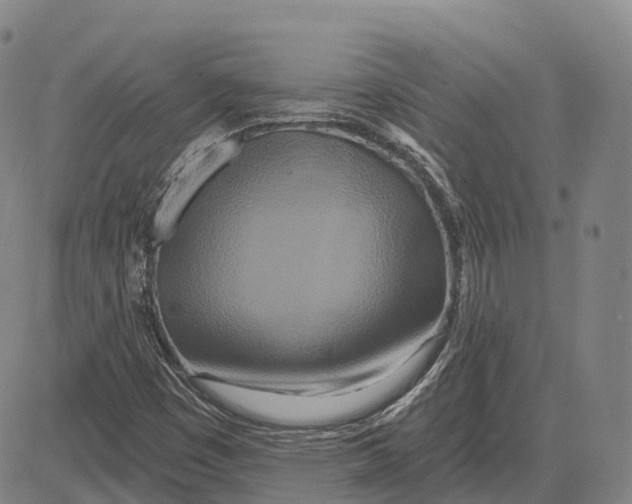 X0000081421449200702021615