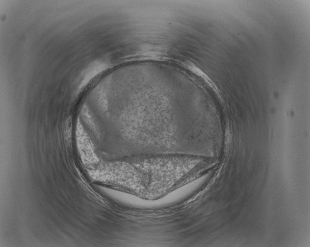 X0000081421450200702021615