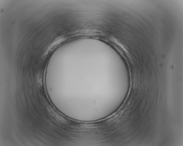 X0000081421451200702021615