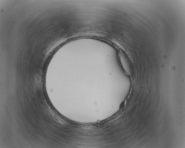 X0000081421452200702021615