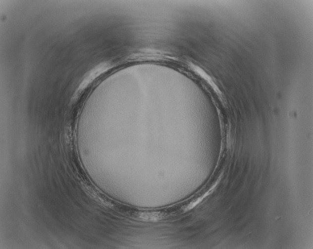 X0000081421453200702021615