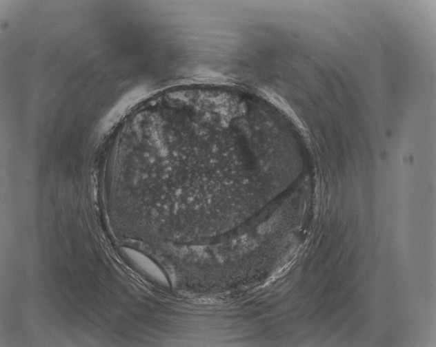 X0000081421455200702021615