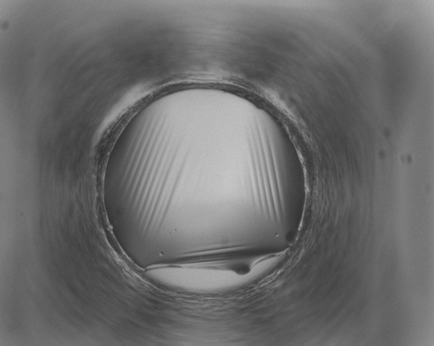 X0000081421456200702021615