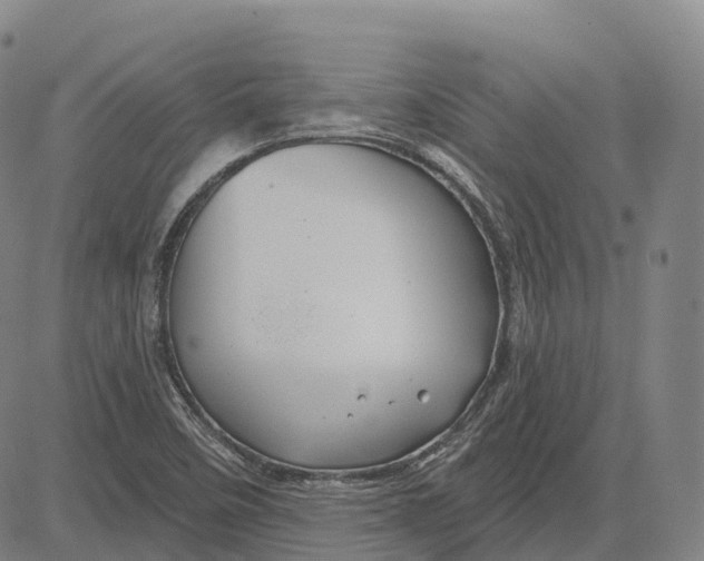 X0000081421458200702021615