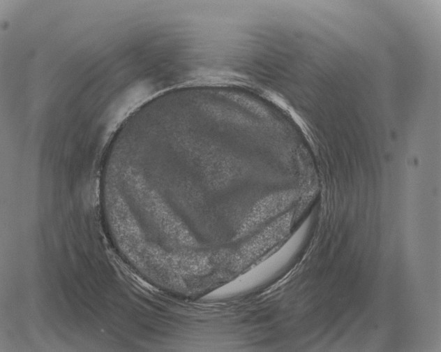 X0000081421459200702021615