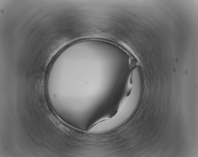 X0000081421460200702021615