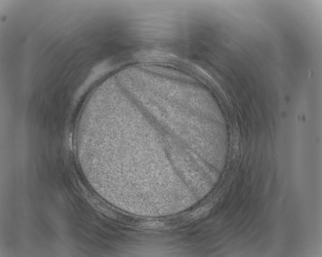 X0000081421462200702021615