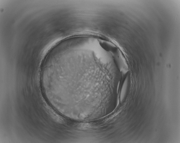 X0000081421463200702021615