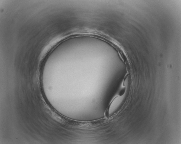 X0000081421464200702021615