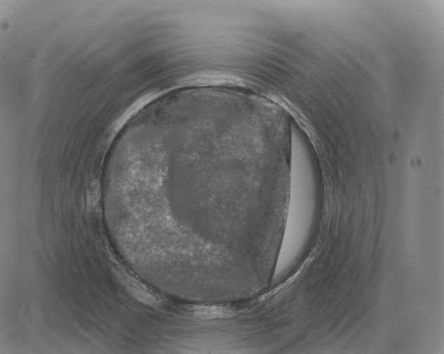 X0000081421465200702021615