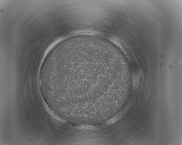 X0000081421466200702021615