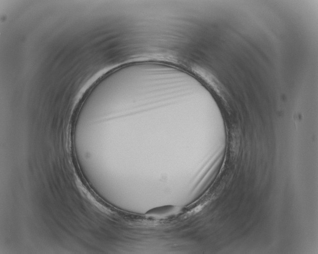 X0000081421468200702021615