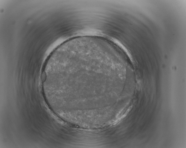 X0000081421469200702021615