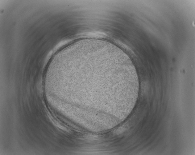 X0000081421470200702021615