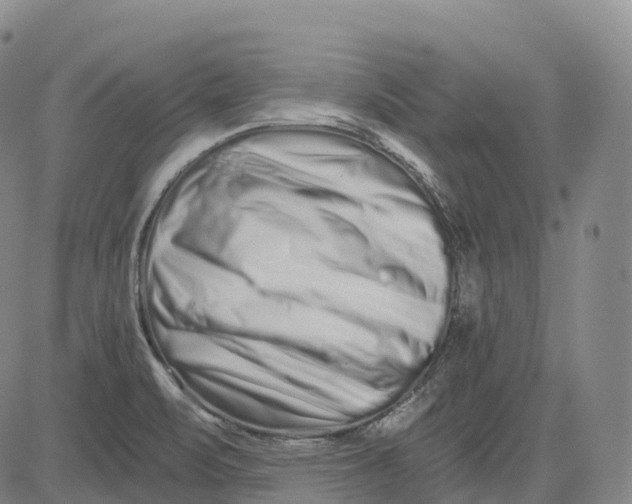 X0000081421471200702021615