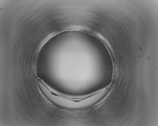 X0000081421473200702021615