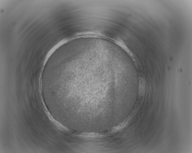 X0000081421474200702021615