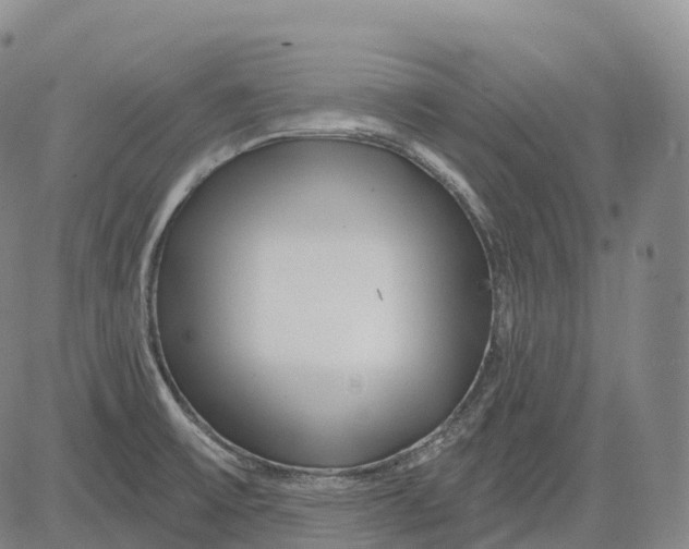 X0000081421475200702021615