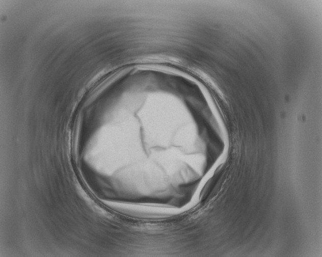 X0000081421476200702021615