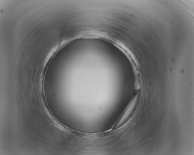 X0000081421477200702021615