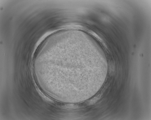 X0000081421478200702021615