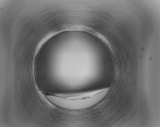 X0000081421480200702021615