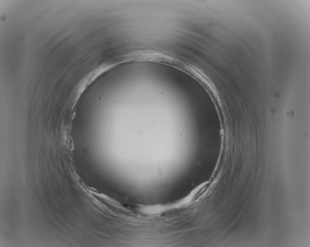 X0000081421481200702021615