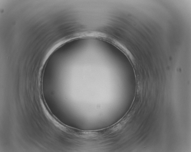 X0000081421483200702021615