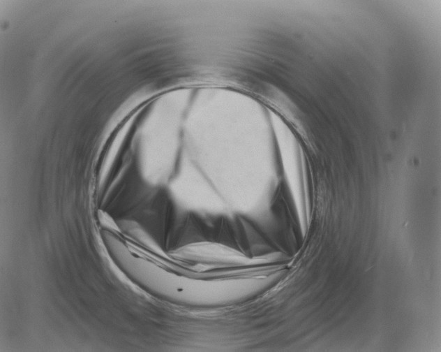 X0000081421484200702021615