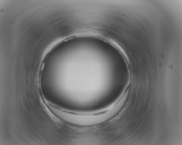 X0000081421485200702021615