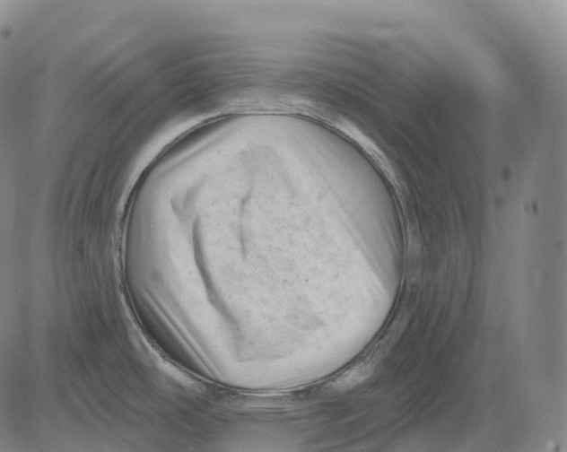 X0000081421486200702021615