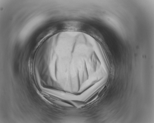 X0000081421487200702021615