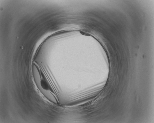 X0000081421488200702021615