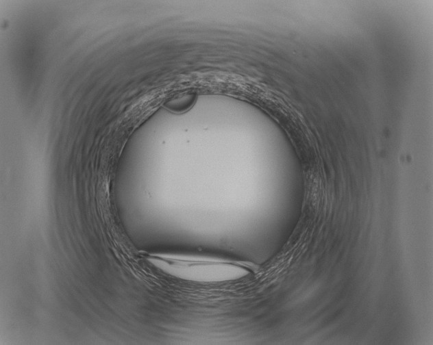 X0000081421489200702021614