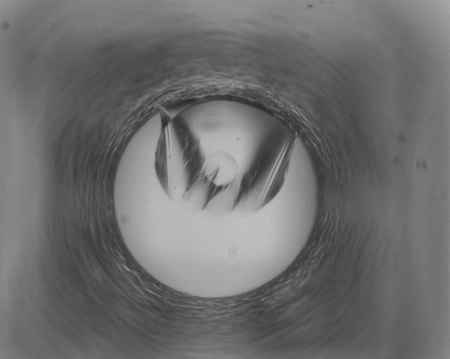 X0000081421492200702021614