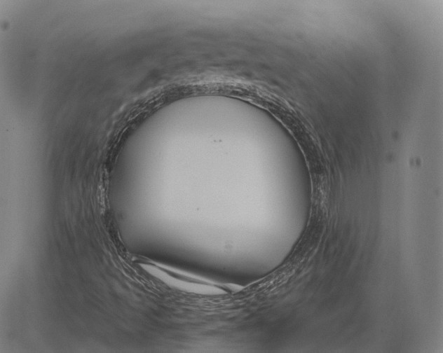 X0000081421493200702021614