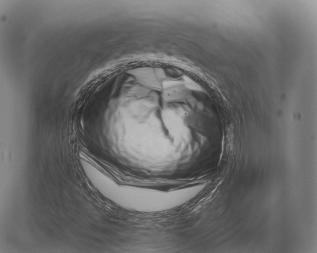 X0000081421494200702021614