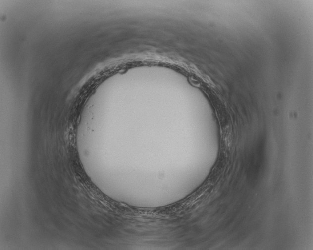 X0000081421495200702021614