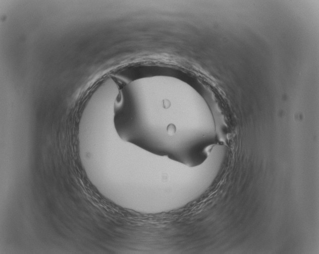 X0000081421496200702021614