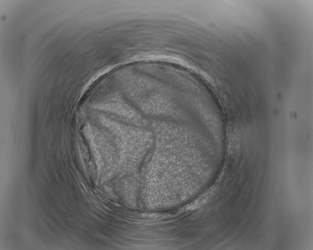 X0000081421497200702021614