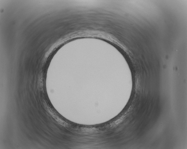 X0000081421498200702021614