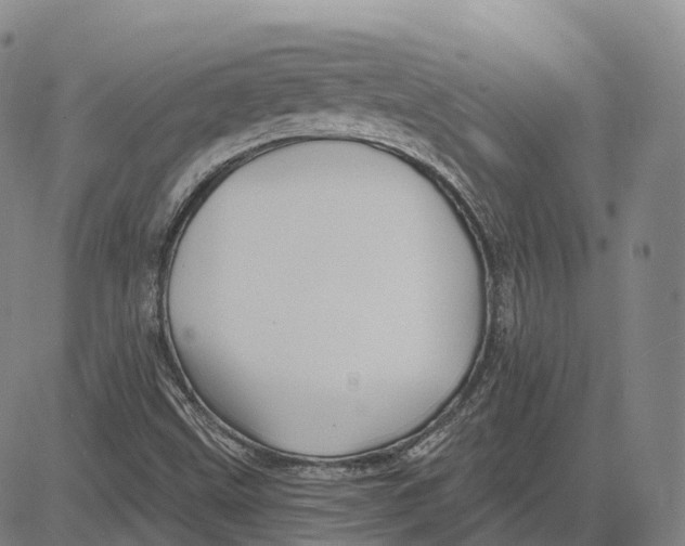 X0000081421499200702021614