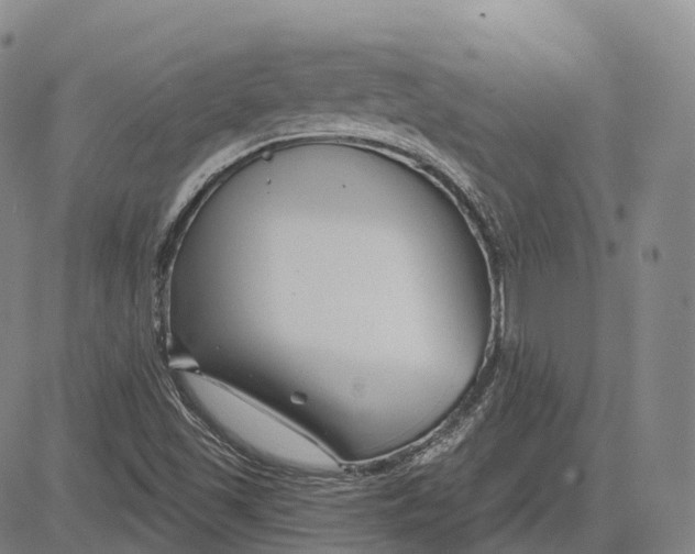 X0000081421501200702021614