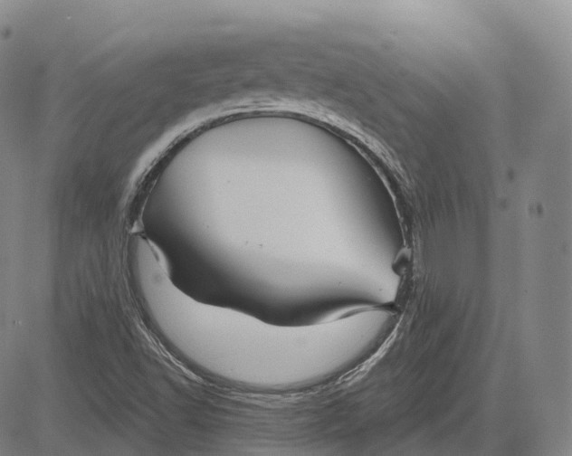 X0000081421502200702021614